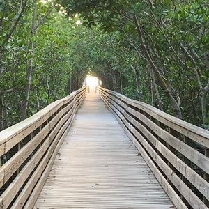 Meet your Posher, Bobbi